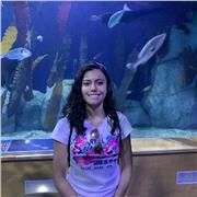 Clases particulares de matemáticas para estudiantes de colegio y universidad